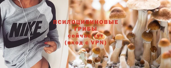 Альфа ПВП Армянск
