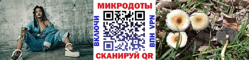 Псилоцибиновые грибы Cubensis Купить закладки Дзержинский